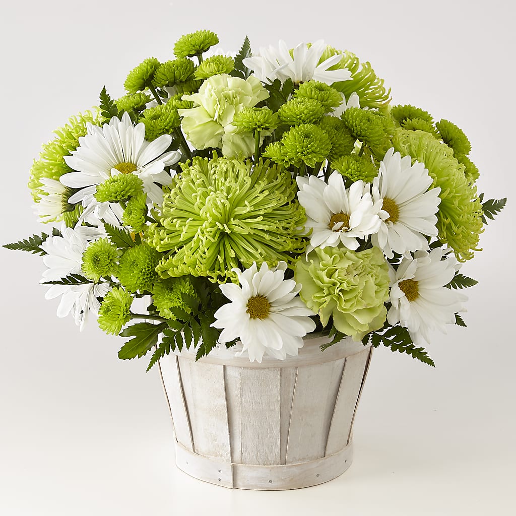 Lucky Charm Basket (Standard) – Emil Yedowitz Florist Llc, Yonkers NY