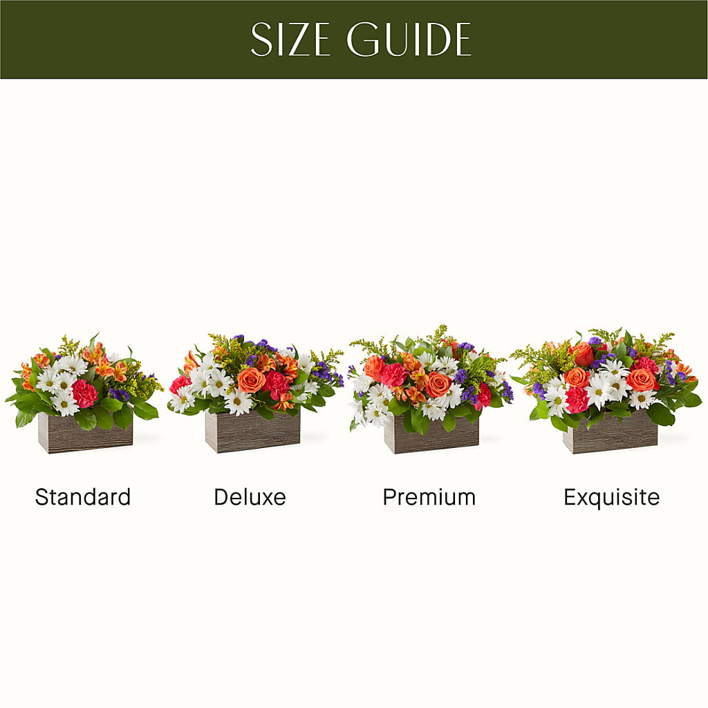 Oopsie Daisy Box Bouquet – Emil Yedowitz Florist Llc, Yonkers NY