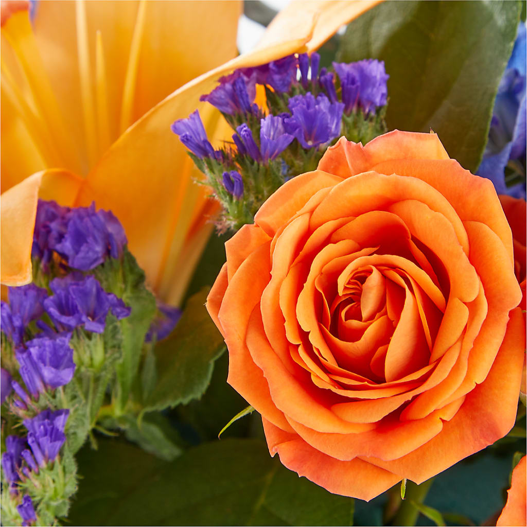 Radiant Citrus Box Bouquet – Emil Yedowitz Florist Llc, Yonkers NY