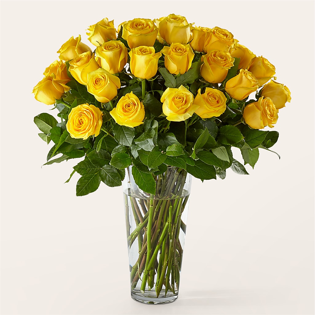 Long Stem Yellow Rose Bouquet – Emil Yedowitz Florist Llc, Yonkers NY