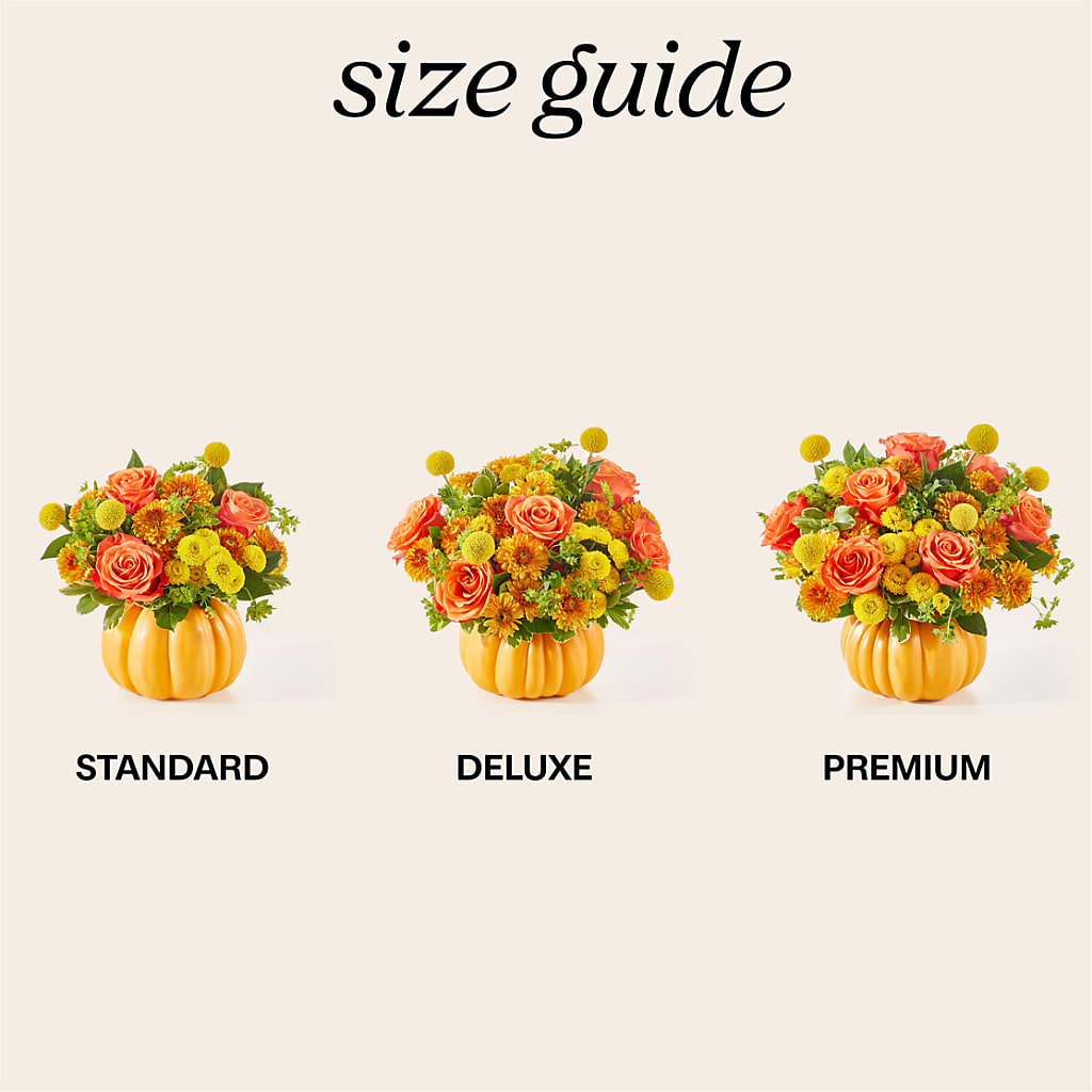Gourdgeous Pumpkin – Emil Yedowitz Florist Llc, Yonkers NY
