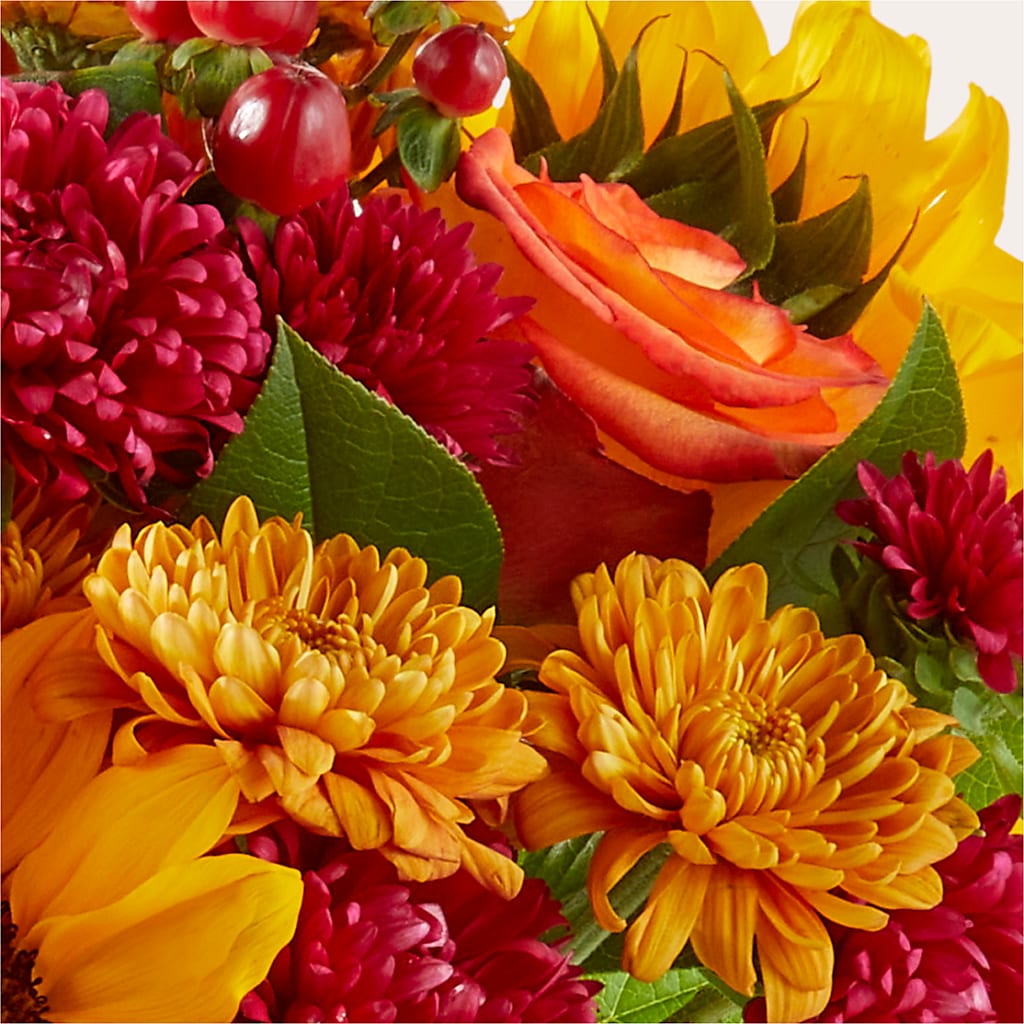 Sweater Season - A Florist Original – Emil Yedowitz Florist Llc, Yonkers NY