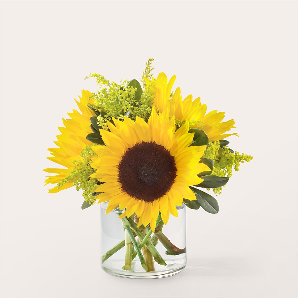 Beaming Sunflower Bouquet – Emil Yedowitz Florist Llc, Yonkers NY