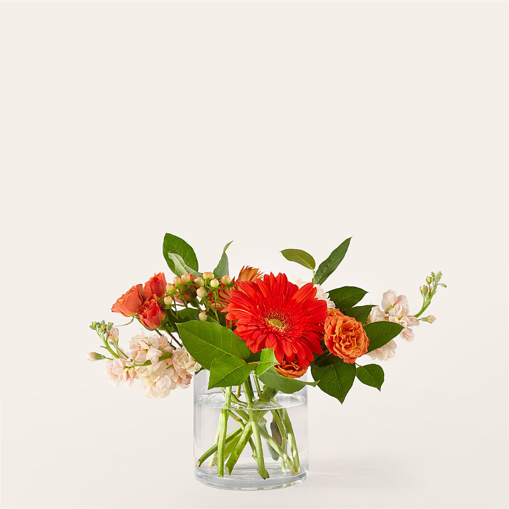 Paloma Please Bouquet – Emil Yedowitz Florist Llc, Yonkers NY
