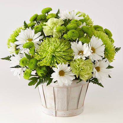 Lucky Charm Basket (Standard) –  Emil Yedowitz Florist Llc, Yonkers NY