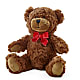 Adorable Plush Bear –  Emil Yedowitz Florist Llc, Yonkers NY