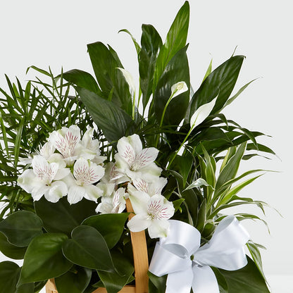 Peace & Serenity Dishgarden –  Emil Yedowitz Florist Llc, Yonkers NY