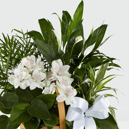 Peace & Serenity Dishgarden –  Emil Yedowitz Florist Llc, Yonkers NY