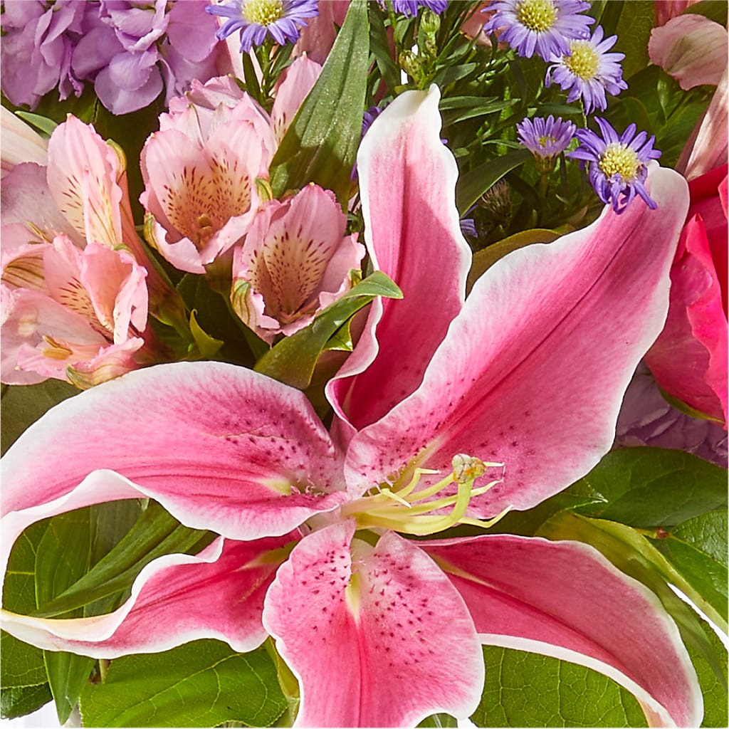 Written in the Stars Bouquet –  Emil Yedowitz Florist Llc, Yonkers NY
