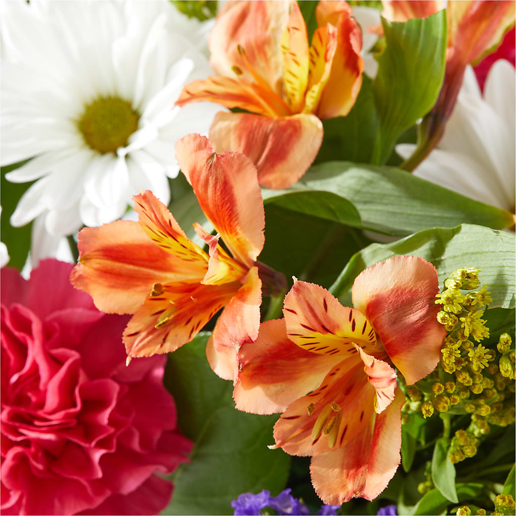 Oopsie Daisy Box Bouquet –  Emil Yedowitz Florist Llc, Yonkers NY