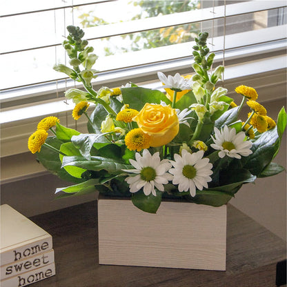 Sun Salutation Box Bouquet –  Emil Yedowitz Florist Llc, Yonkers NY