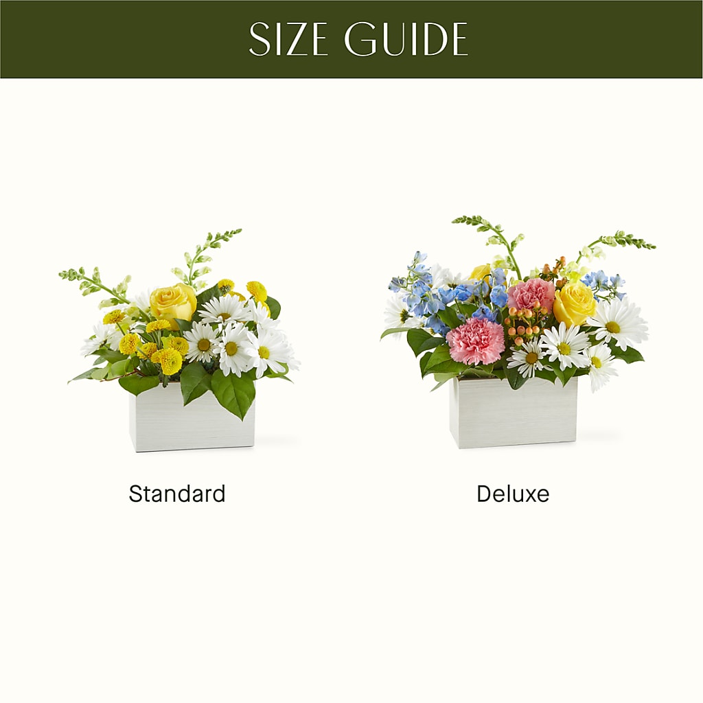 Sun Salutation Box Bouquet –  Emil Yedowitz Florist Llc, Yonkers NY
