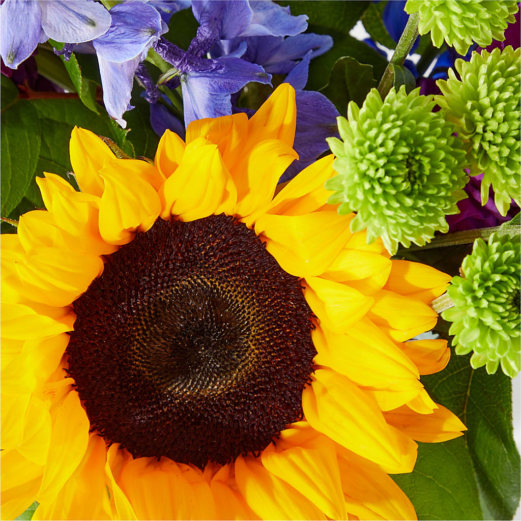 Catching Rays Bouquet –  Emil Yedowitz Florist Llc, Yonkers NY