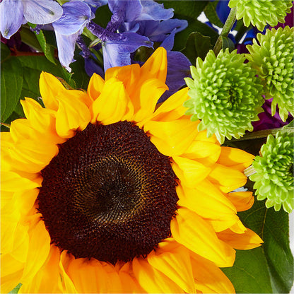Catching Rays Bouquet –  Emil Yedowitz Florist Llc, Yonkers NY