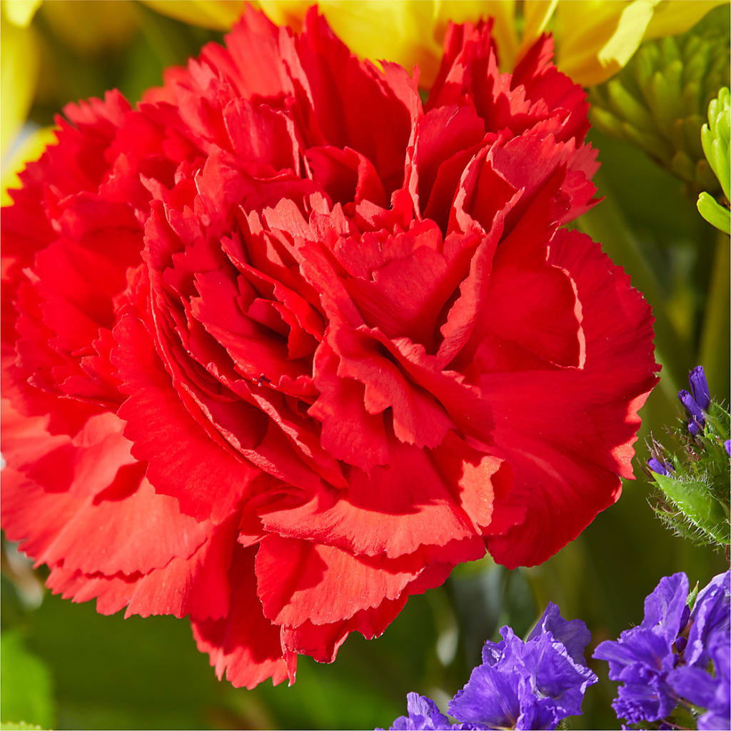 Brighter Days Bouquet –  Emil Yedowitz Florist Llc, Yonkers NY