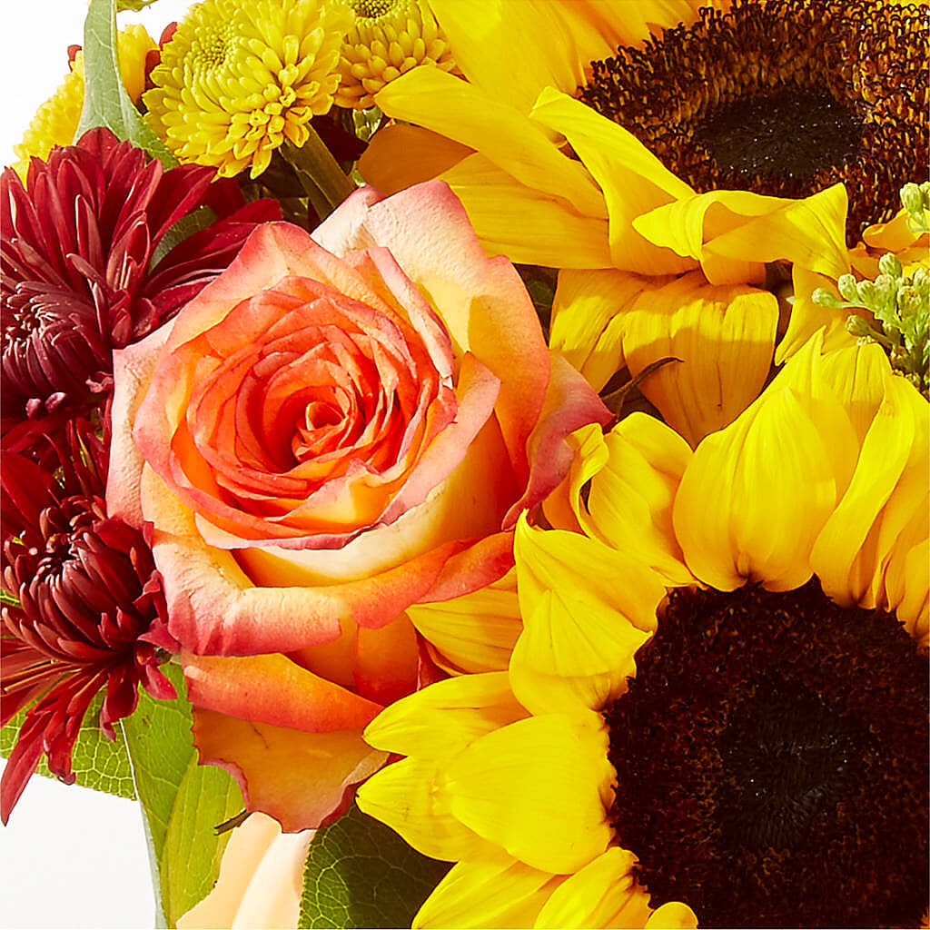 Golden Gourd Pumpkin Bouquet –  Emil Yedowitz Florist Llc, Yonkers NY