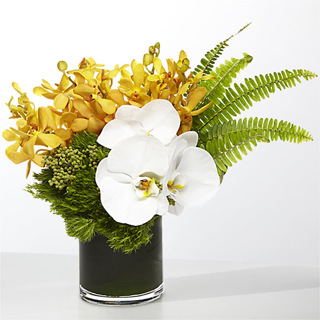 The Tropics –  Emil Yedowitz Florist Llc, Yonkers NY