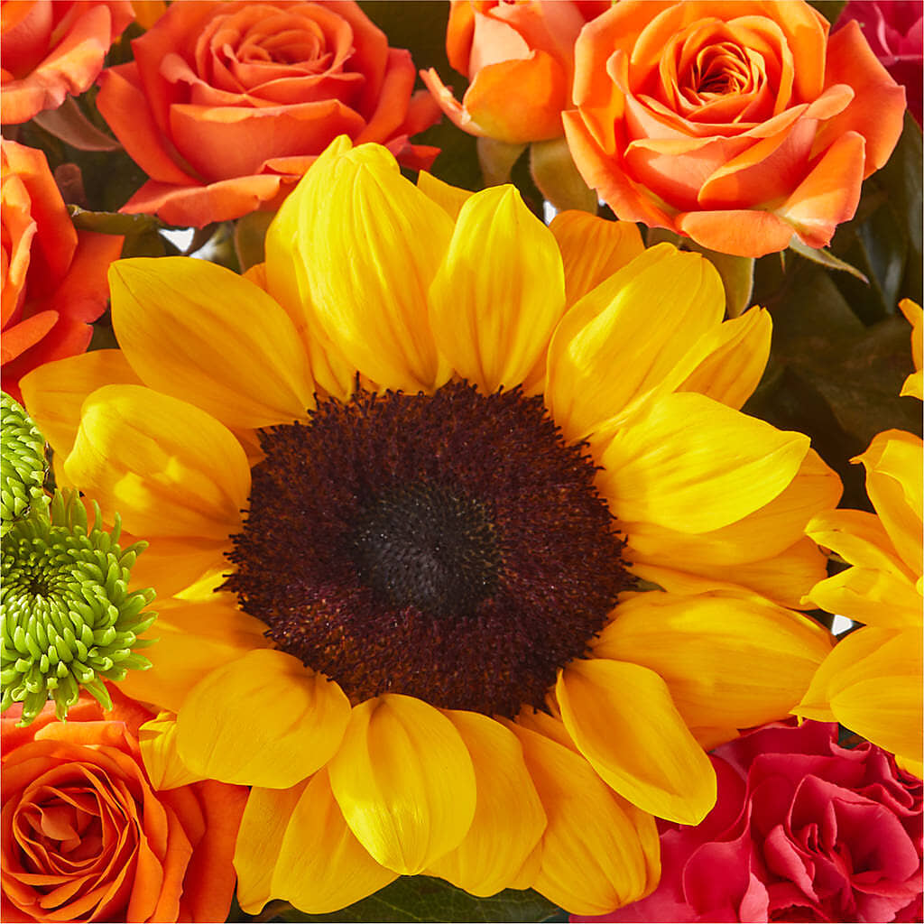 Sun-drenched Blooms Box Bouquet –  Emil Yedowitz Florist Llc, Yonkers NY