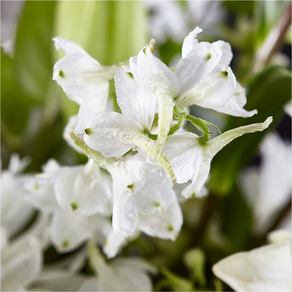 Classic Ivory – A Florist Original –  Emil Yedowitz Florist Llc, Yonkers NY