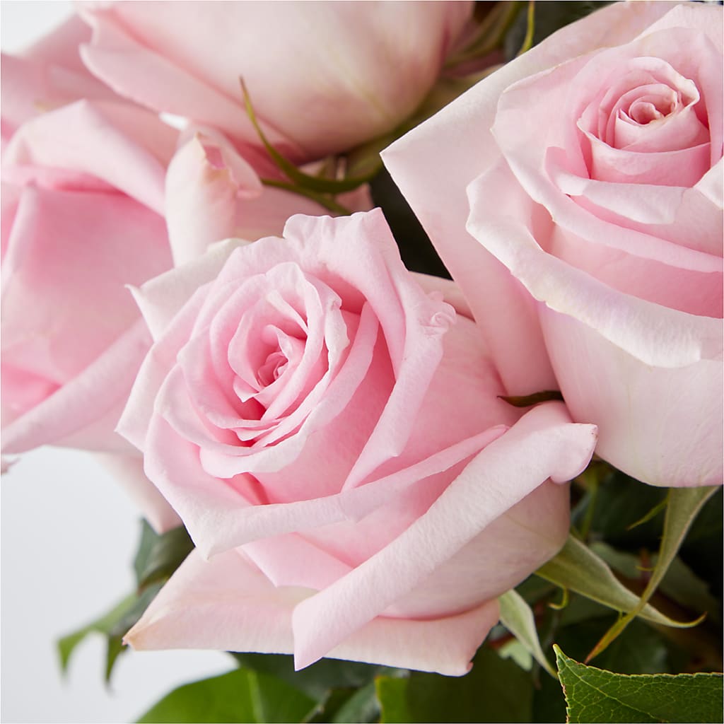 Picture Perfect Pink Rose Bouquet –  Emil Yedowitz Florist Llc, Yonkers NY