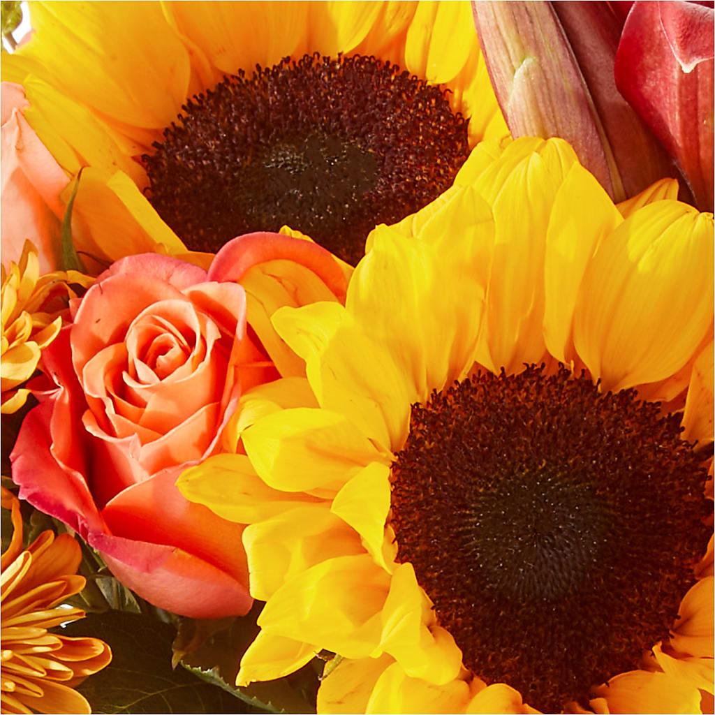 Acorn Lane Bouquet –  Emil Yedowitz Florist Llc, Yonkers NY