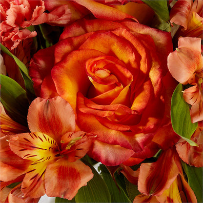 Apricot Glow Bouquet –  Emil Yedowitz Florist Llc, Yonkers NY