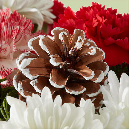 Candy Cane Lane Bouquet –  Emil Yedowitz Florist Llc, Yonkers NY