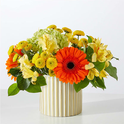 Autumn Sunshine Bouquet with Ivory Vase –  Emil Yedowitz Florist Llc, Yonkers NY