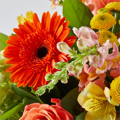 Autumn Sunshine Bouquet –  Emil Yedowitz Florist Llc, Yonkers NY