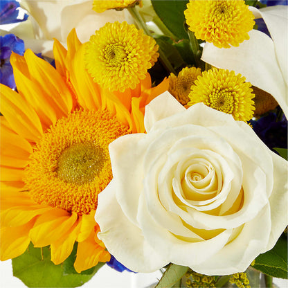 Stargazing Bouquet –  Emil Yedowitz Florist Llc, Yonkers NY