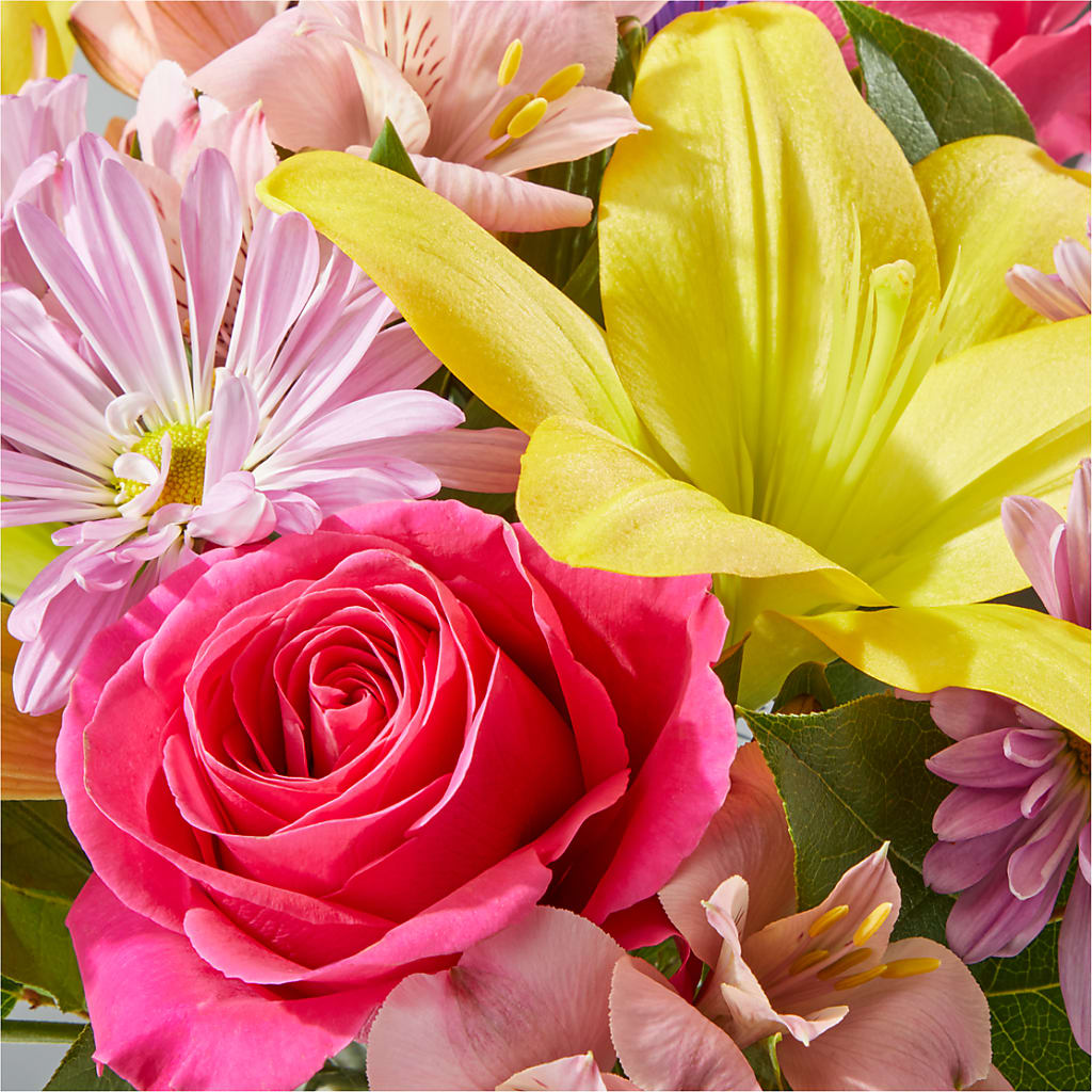 Sprinkles Bouquet –  Emil Yedowitz Florist Llc, Yonkers NY
