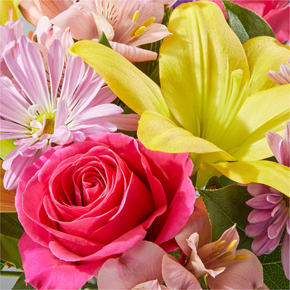 Sprinkles Bouquet –  Emil Yedowitz Florist Llc, Yonkers NY