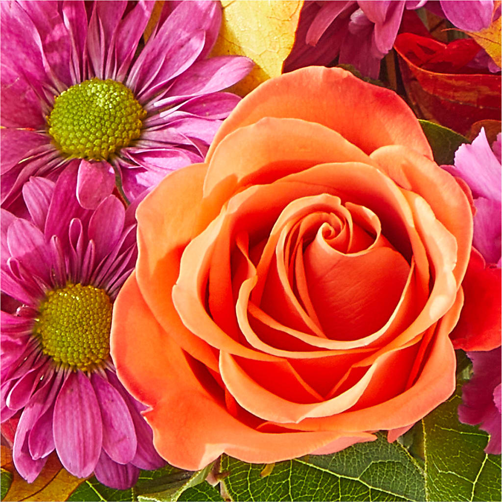 Mum's the Word Bouquet –  Emil Yedowitz Florist Llc, Yonkers NY