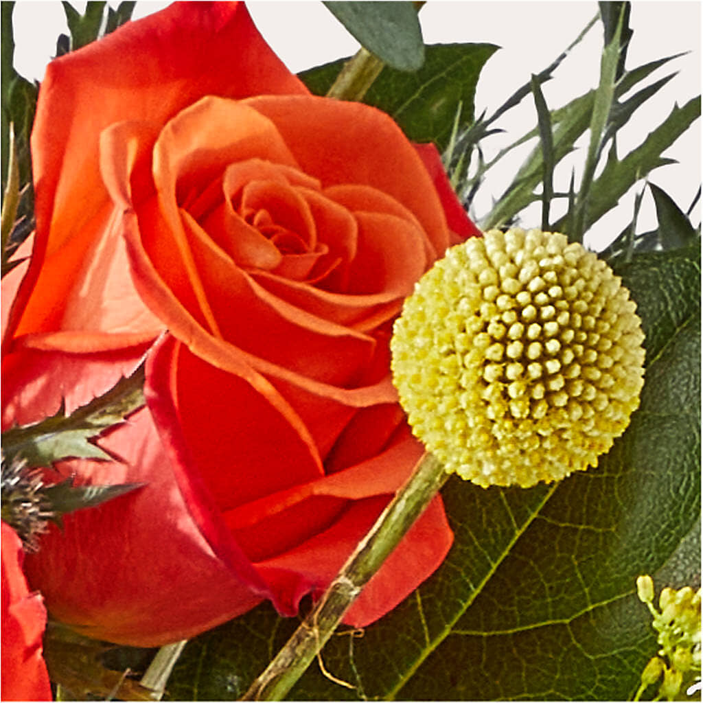 Disco Bouquet –  Emil Yedowitz Florist Llc, Yonkers NY