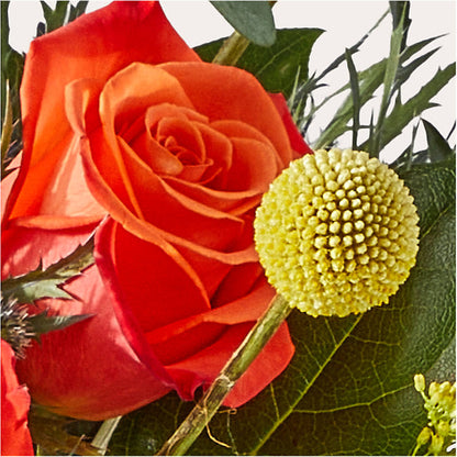 Disco Bouquet –  Emil Yedowitz Florist Llc, Yonkers NY