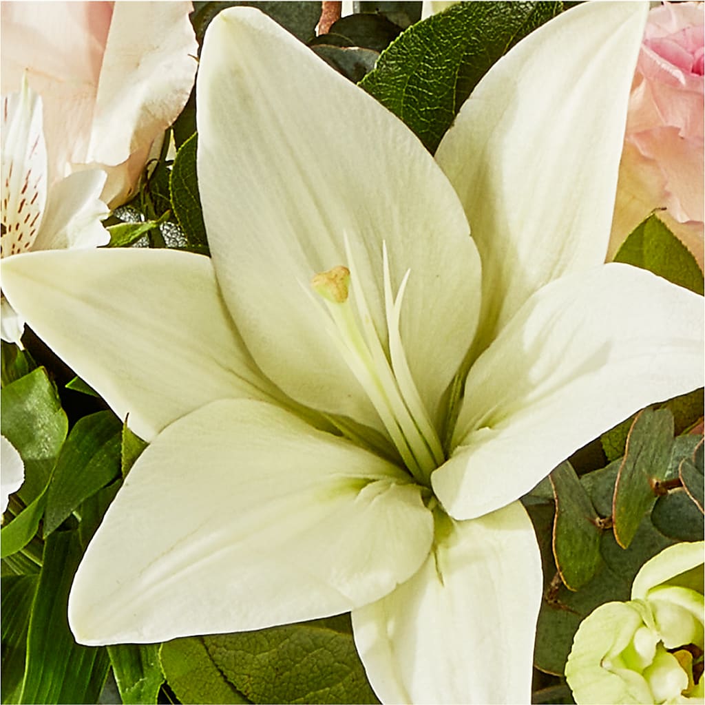 Ballet Slippers Bouquet –  Emil Yedowitz Florist Llc, Yonkers NY