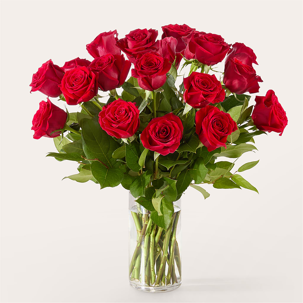 The One Red Rose Bouquet –  Emil Yedowitz Florist Llc, Yonkers NY