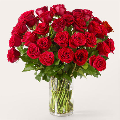 The One Red Rose Bouquet –  Emil Yedowitz Florist Llc, Yonkers NY
