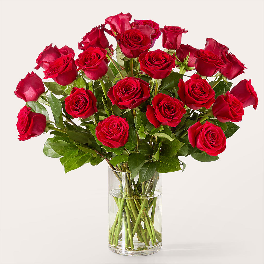 The One Red Rose Bouquet –  Emil Yedowitz Florist Llc, Yonkers NY