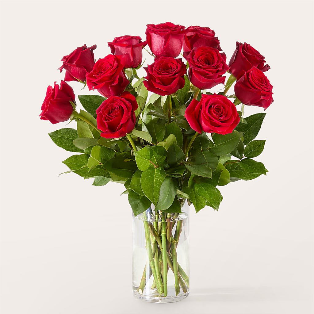 The One Red Rose Bouquet –  Emil Yedowitz Florist Llc, Yonkers NY